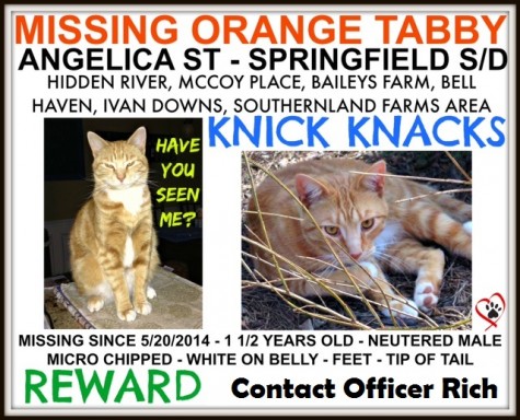If you have any information on Knick Knacks's whereabouts, please contact Officer Rich through the Greenwood High School front office.