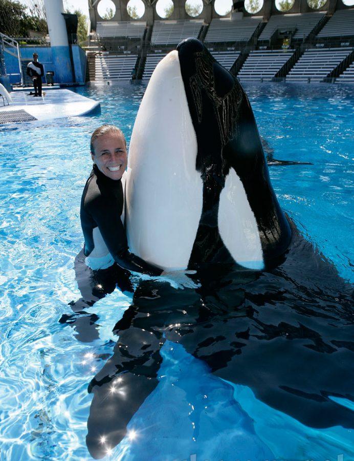 Tilikum: Finally Free – The Daily Chomp