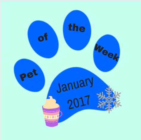 Pet of the Week: January 23