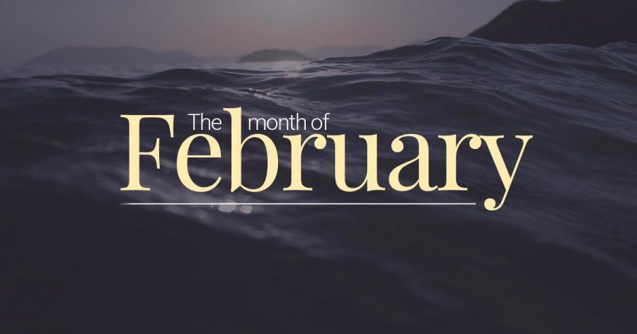 In Case You Missed It (February)