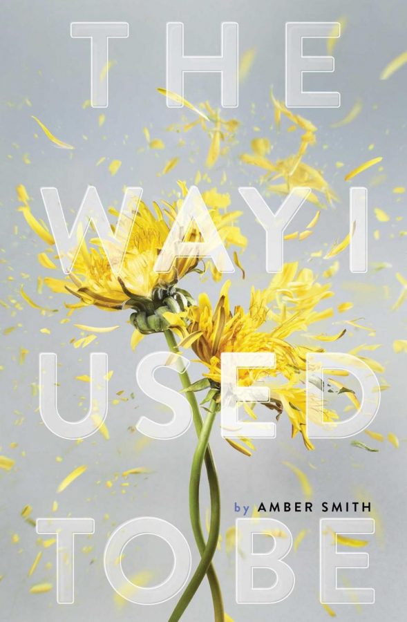 Book Review: The Way I Used To Be