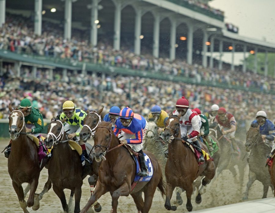 Who+is+Racing+in+the+Kentucky+Derby%3F