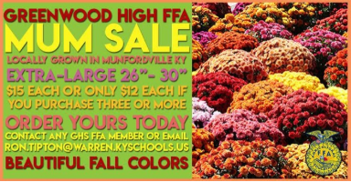 FFA Mum Sale Coming to Greenwood